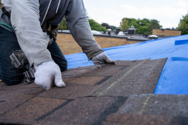 Best Slate Roofing Contractor  in Ortonville, MI