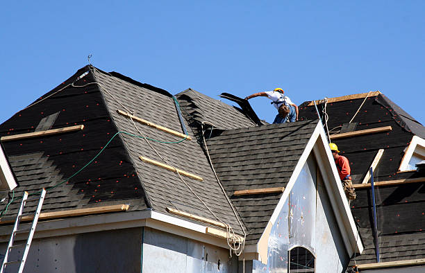 Best Roof Restoration Services  in Ortonville, MI