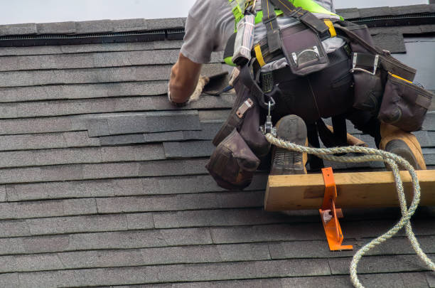 Roof Gutter Cleaning in Ortonville, MI