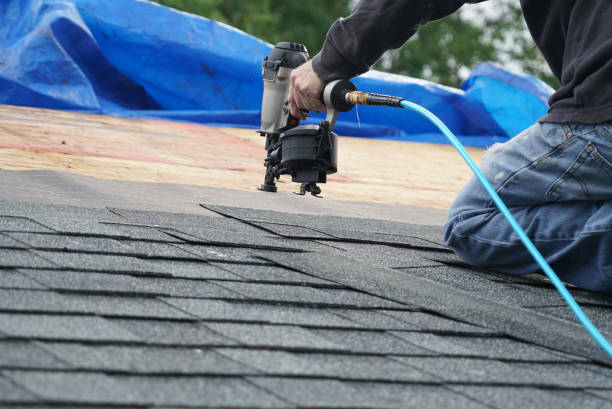 Best Emergency Roof Repair  in Ortonville, MI