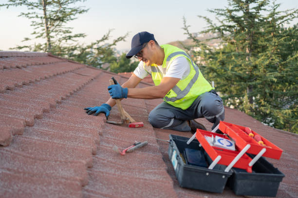 Best Roofing Contractor Near Me  in Ortonville, MI