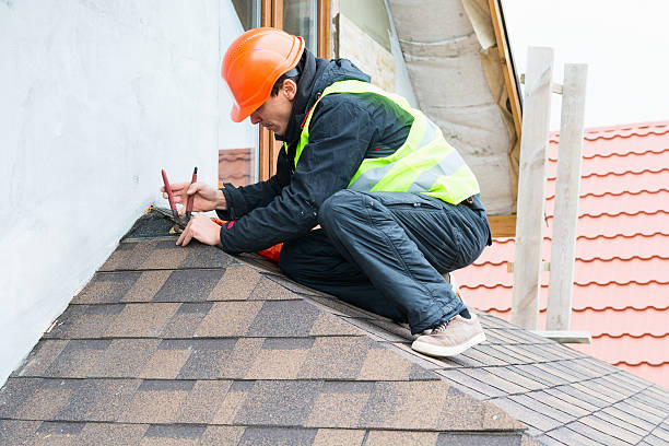 Best Roof Restoration Services  in Ortonville, MI