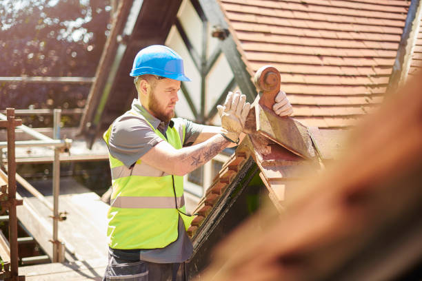 Best Roof Repair Services  in Ortonville, MI