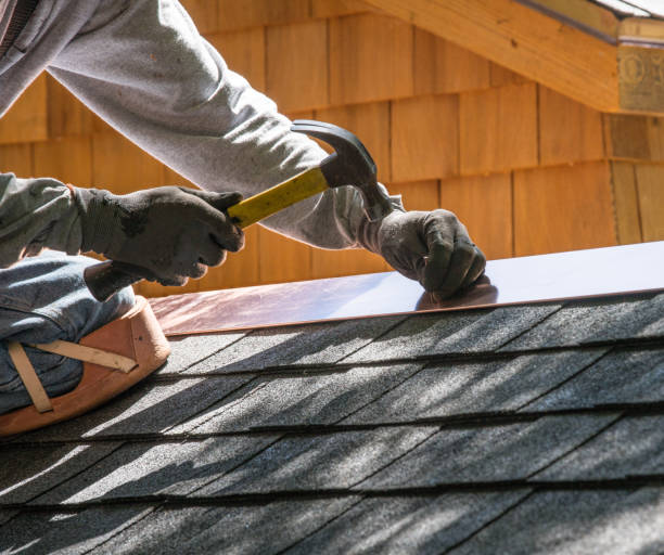 Best Storm Damage Roof Repair  in Ortonville, MI